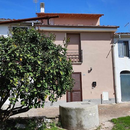 Appartamento Il Limone Pisa Eksteriør billede